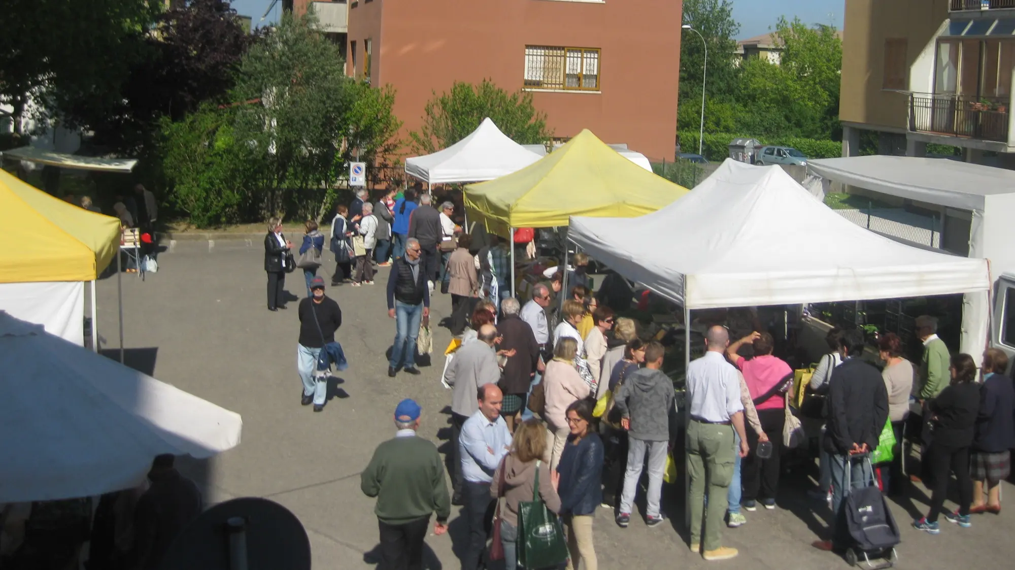 Farmer's Market Bertella