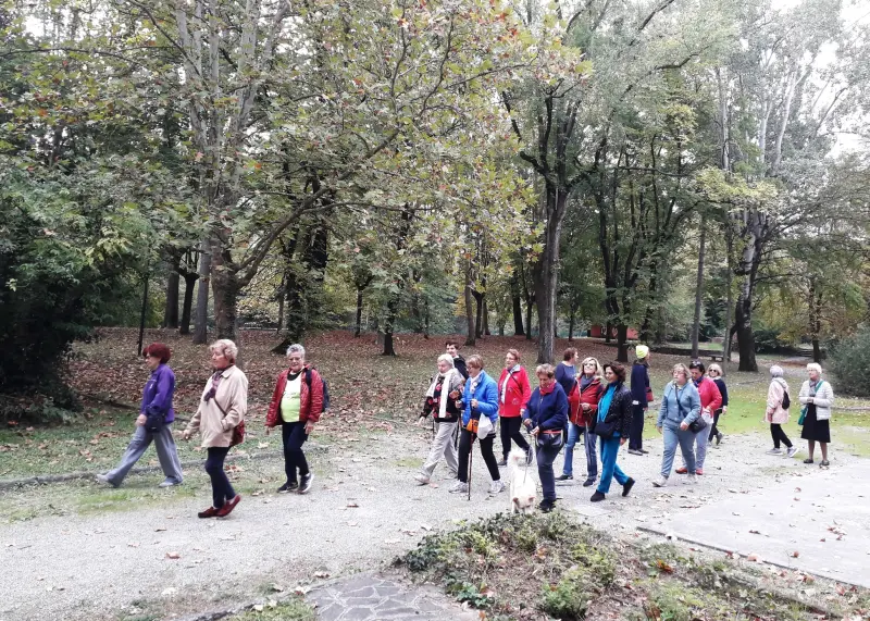 Passeggiata in compagnia con l