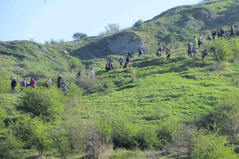 Salviamo la montagna: preparazione talee