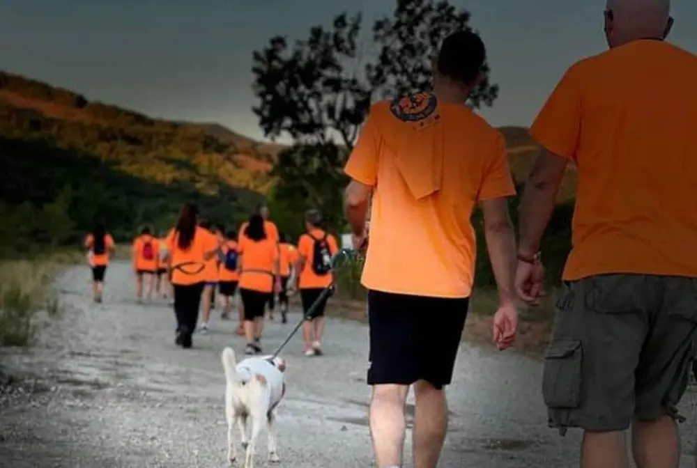 330 persone hanno partecipato alla 3a Social Run Virtual