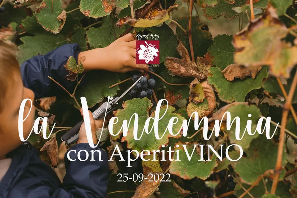 Domenica 25 Vendemmia con AperitiVINO alle Cantine Sgarzi Luigi di Castel San Pietro Terme