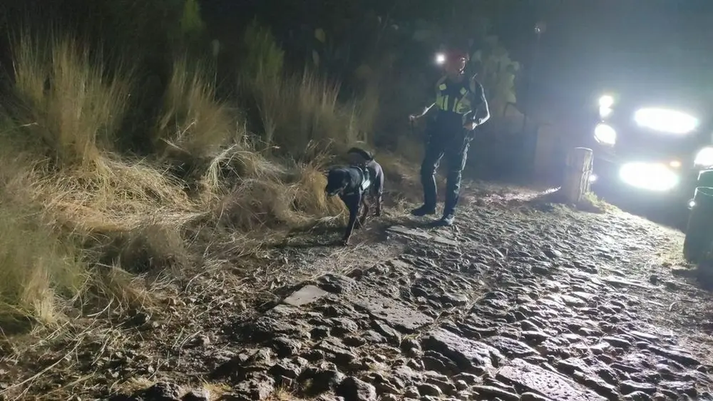 Protezione Civile: il cane JB addestrato a Castel San Pietro Terme sventa un incendio in Sicilia