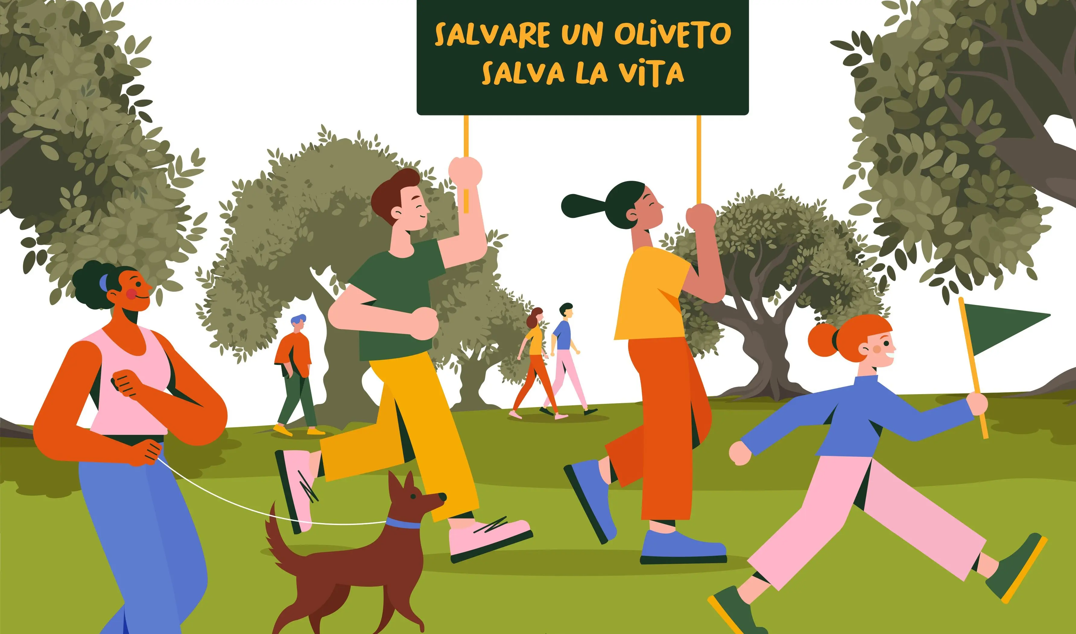 Camminata tra gli Olivi: nella mattina di domenica 27 passeggiata con degustazione a cura di Agrivar