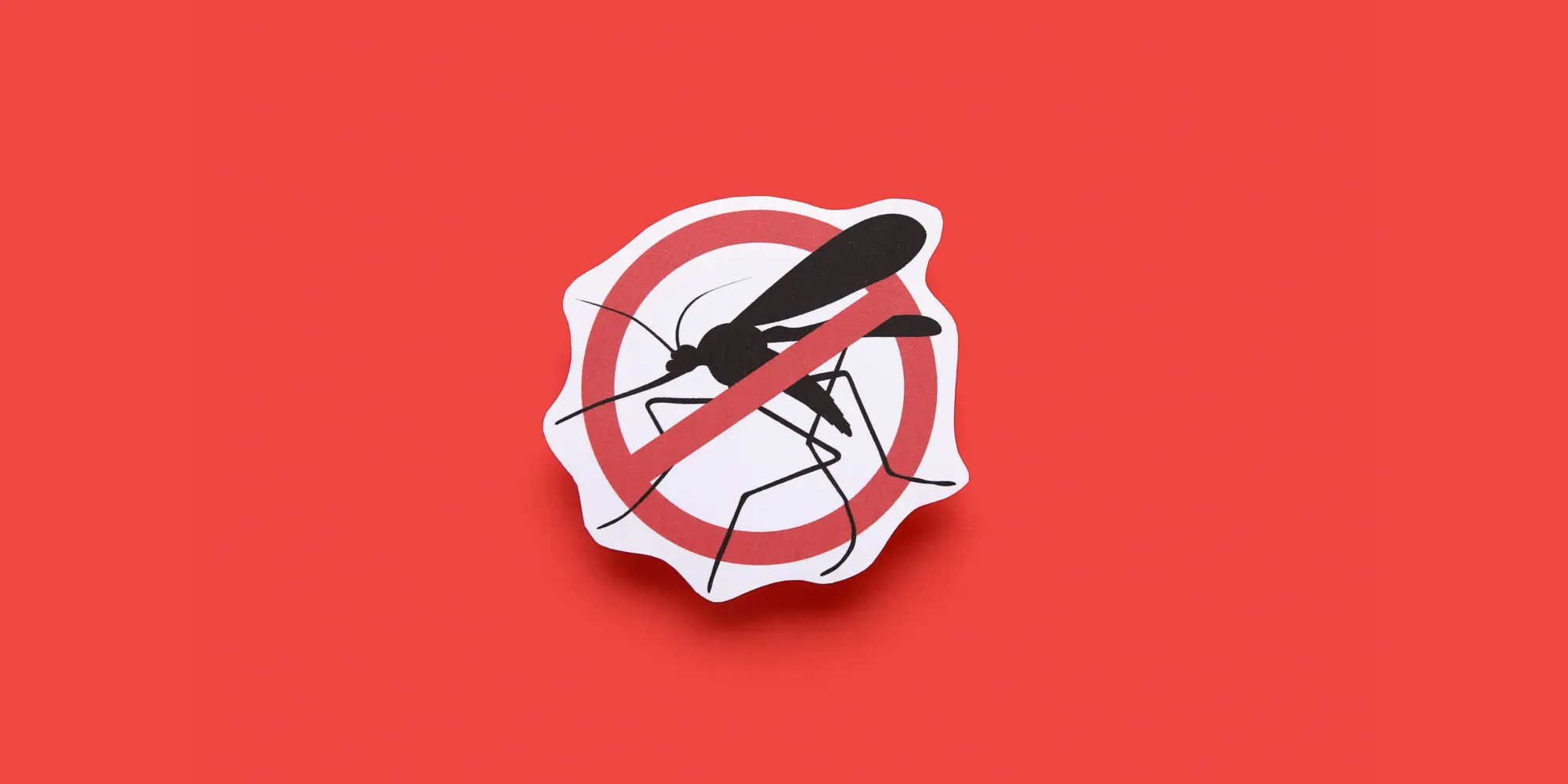 West Nile virus – Informazioni e misure di prevenzione a Castel San Pietro Terme