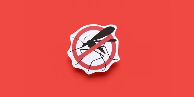 West Nile virus – Informazioni e misure di prevenzione a Castel San Pietro Terme