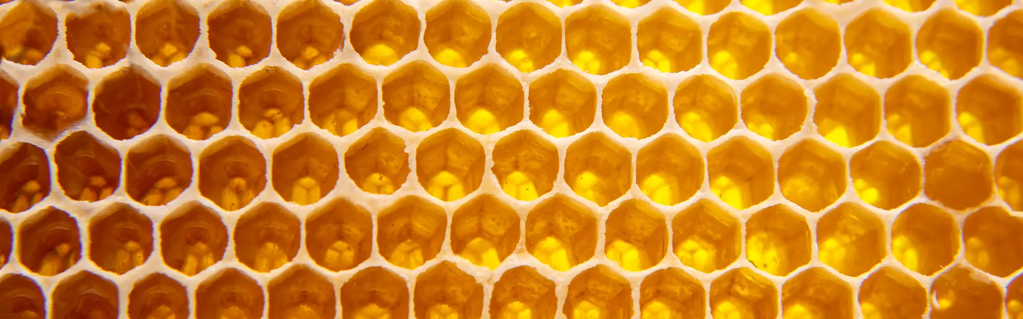 Sesto appuntamento della rassegna “Incontri al Convento” con Lucia Piana