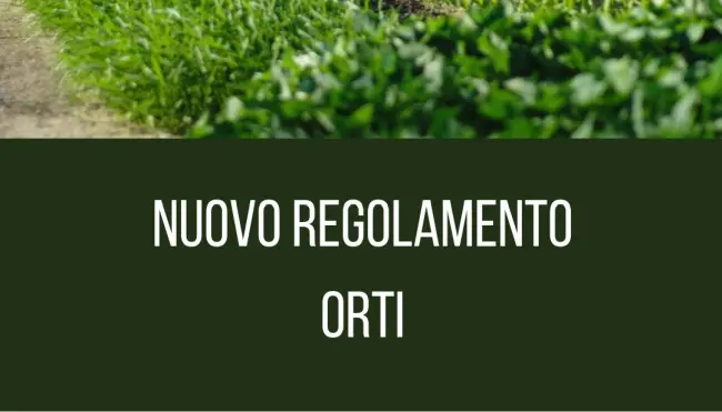 Orti sociali e solidali