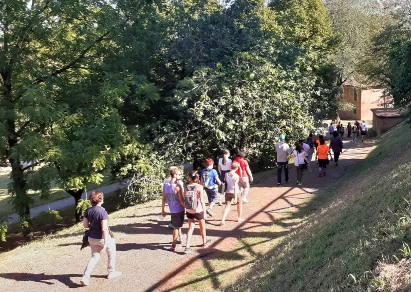Slow Tours: successo delle "Camminate, miele, arte e natura"