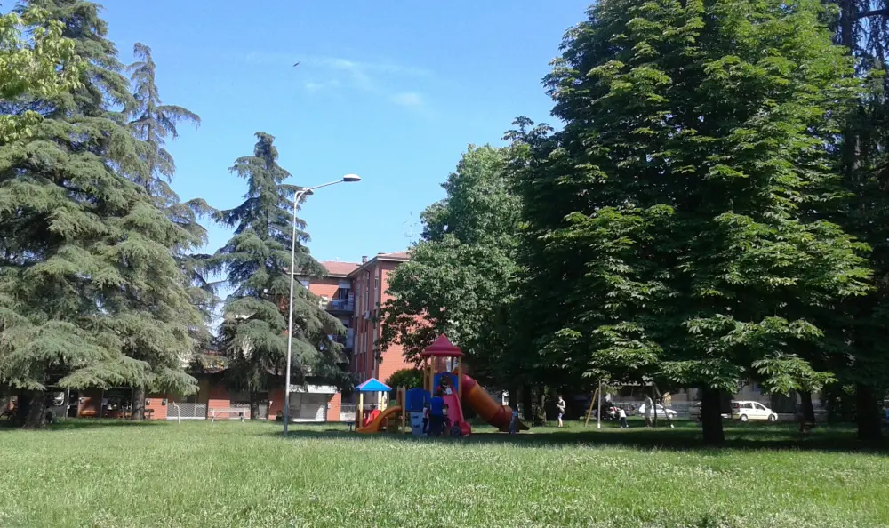 Pericolo di crollo per nove alberi di piazzale Dante
