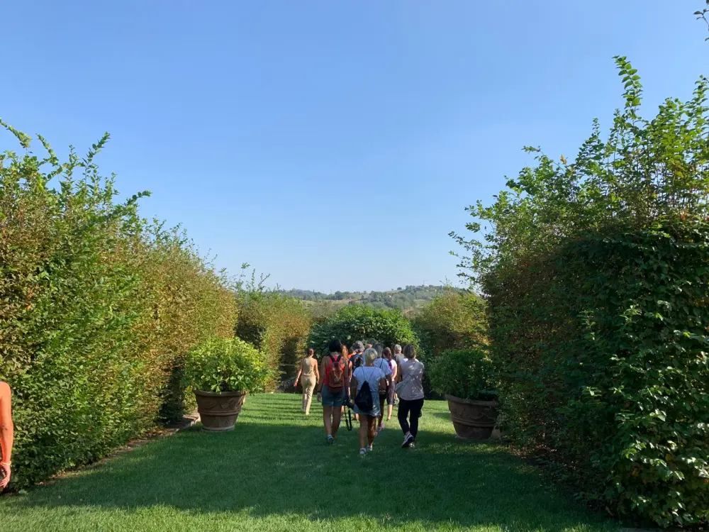 Aperte le iscrizioni per partecipare alla Camminata tra gli Olivi e al borgo Varignana